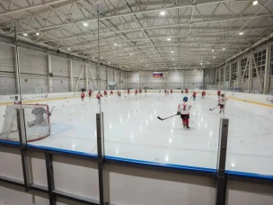 Почти 80 объектов спорта уже подключены к Единому агрегатору физкультурно-спортивных организаций Нижегородской области