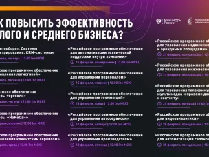 Нижегородским предпринимателям на серии вебинаров расскажут, как повысить эффективность малого и среднего бизнеса