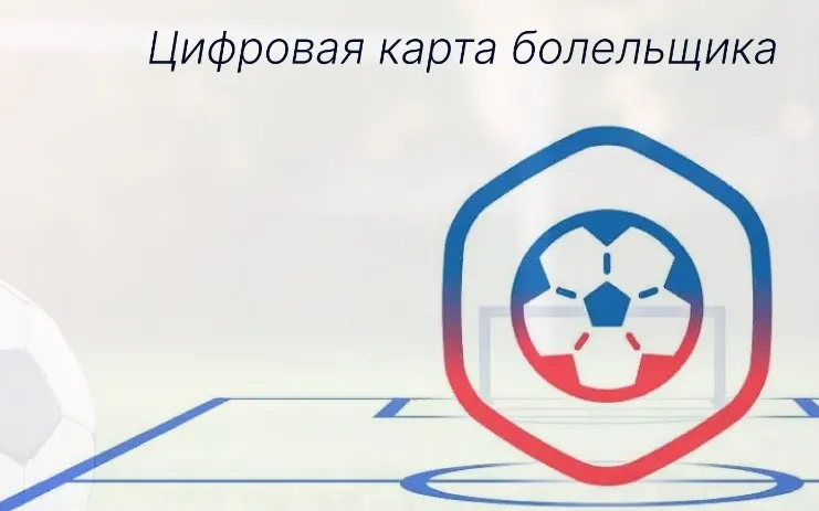Нижегородская область лидирует по числу оформленных «Карт болельщика» среди регионов страны