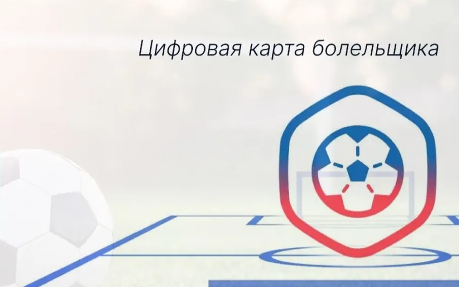 Нижегородцы оформили 912 «карт болельщика» за первую неделю работы Fan-Id