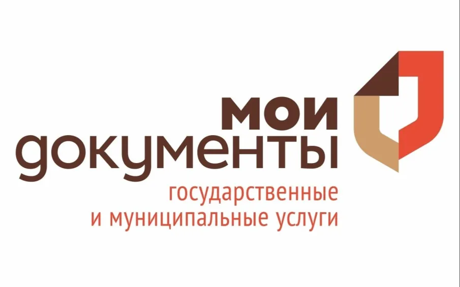 Нижегородцы могут получить финансовую помощь при возникновении чрезвычайных ситуаций природного и техногенного характера, подав заявления в МФЦ