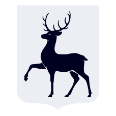 Министерство цифрового развития объявляет конкурсы на получение грантовой поддержки для проектов по разработке российских цифровых решений