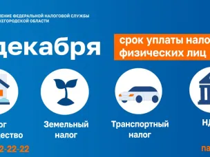 1 декабря 2025 года - срок уплаты налогов физических лиц